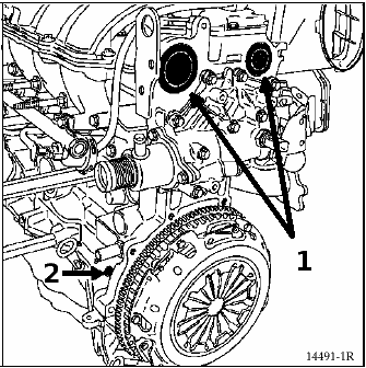 Bouchons d'arbres 7700106271 et 7700274026 Bouchons d’arbres 7700106271 et 7700274026