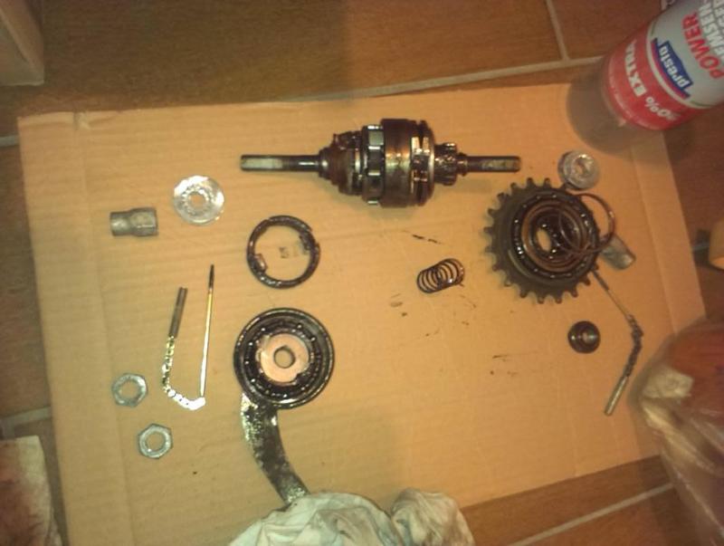 The bearings and the brake shoes do not look damaged, but the grease is cooked