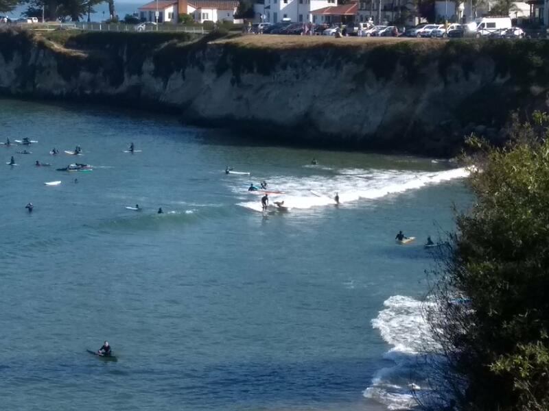 Vague à surfeurs à Santa Cruz