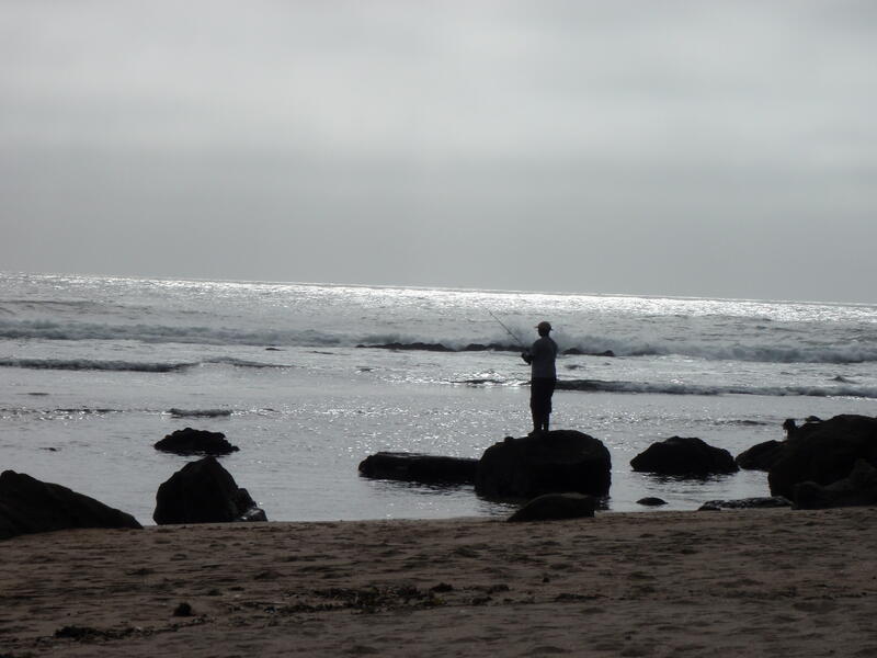 Plage de Half-moon Bay