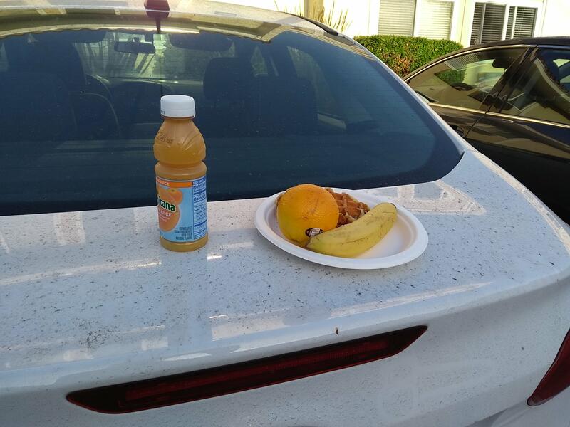 Coffre de voiture qui sert de table de camping