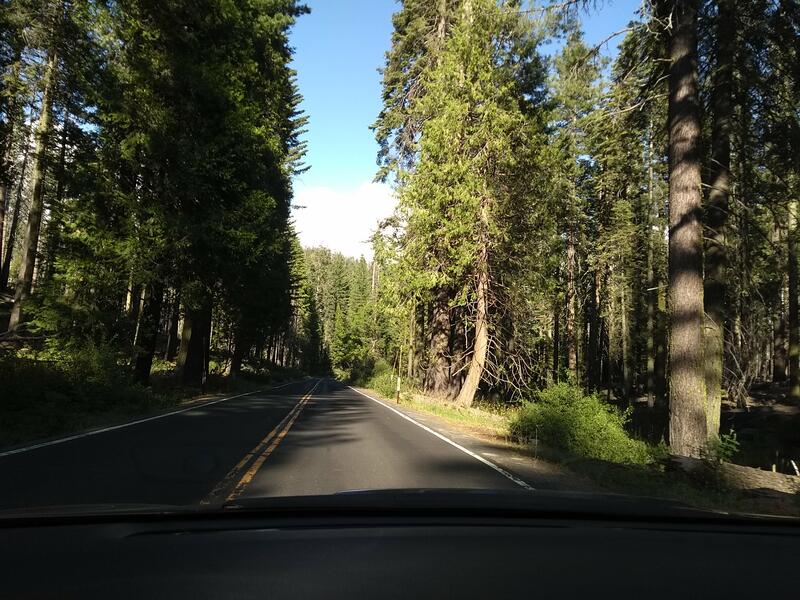 Route dans le parc de Yosemite