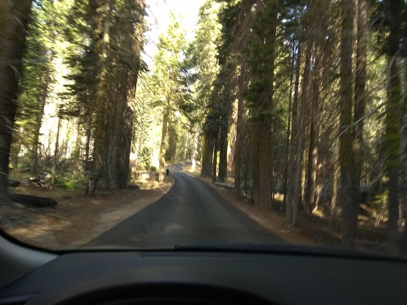 Route étroite vers le camping