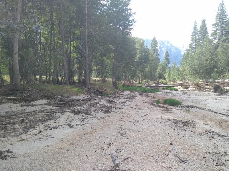 Fond de la vallée de Yosemite