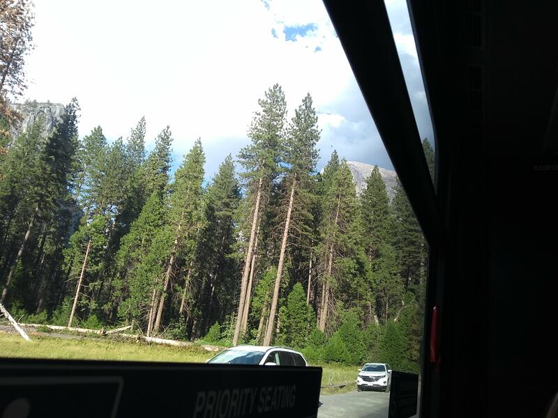 Sequoias