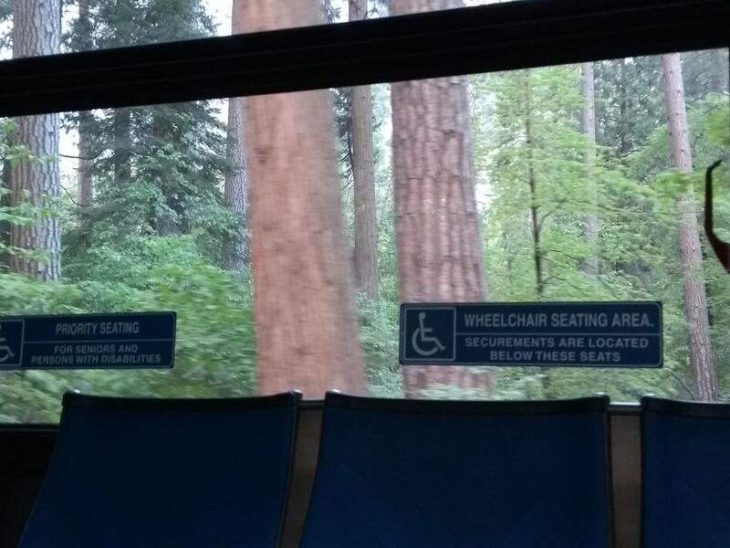 Sequoias