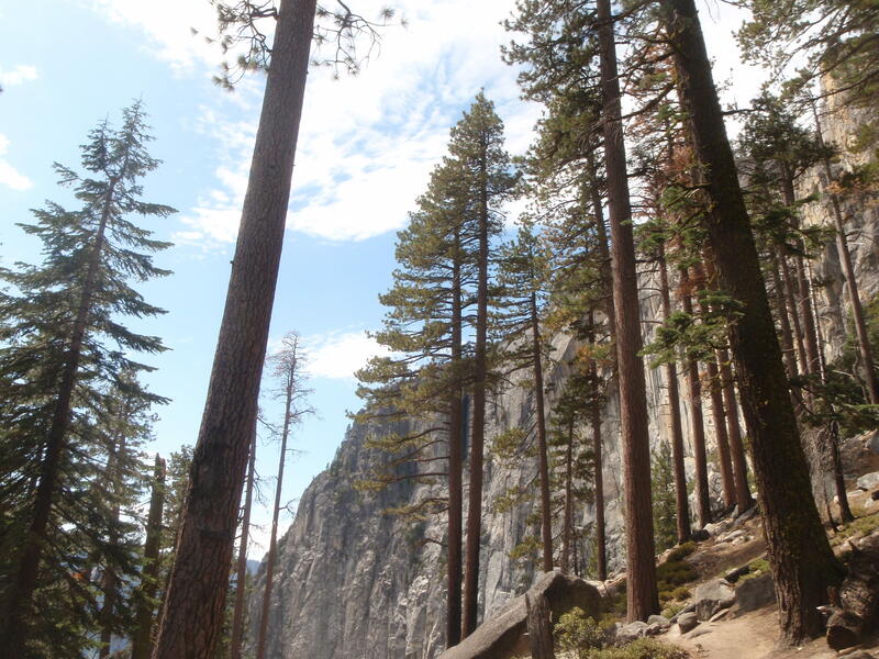 Montée vers les Yosemite Falls