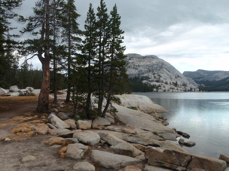 Tenaya Lake