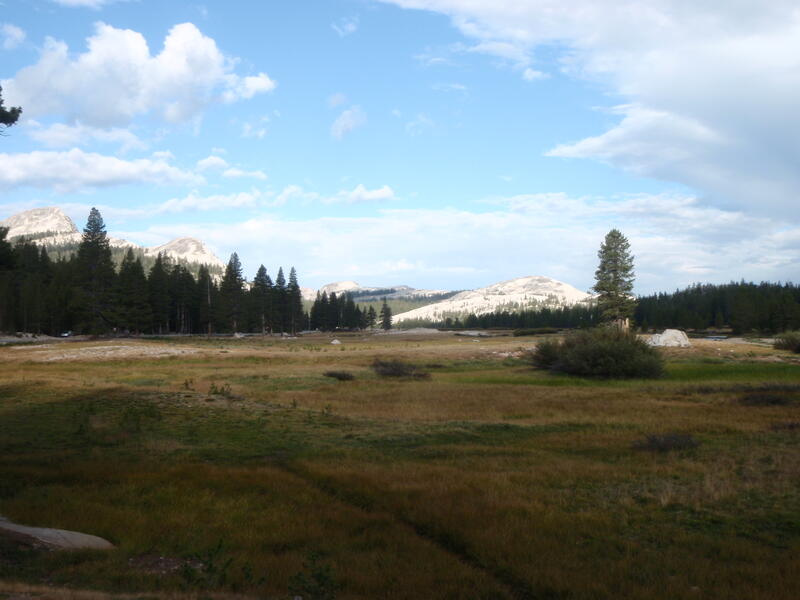 Plateau de Tuolumne