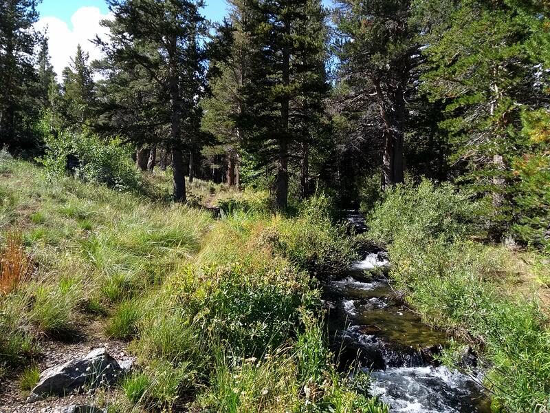 Montée vers Tamarack lake