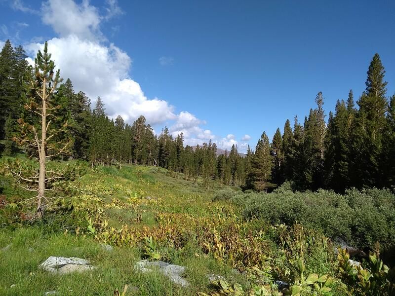 Montée vers Tamarack lake