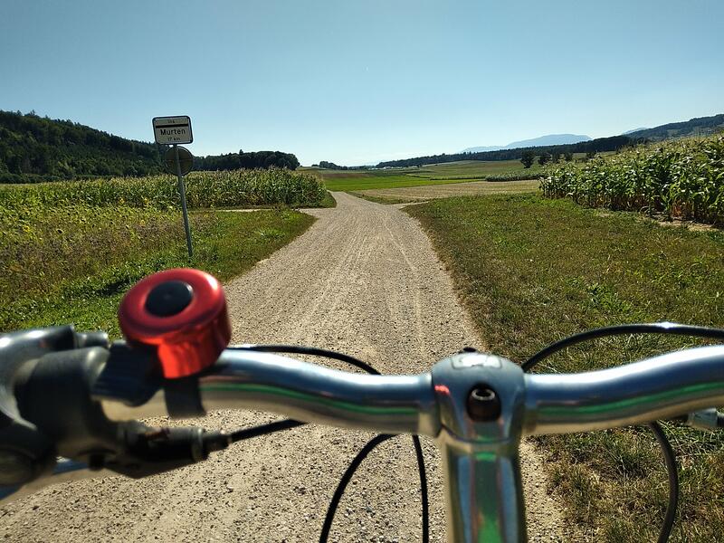 Chemin dans la campagne du Seeland