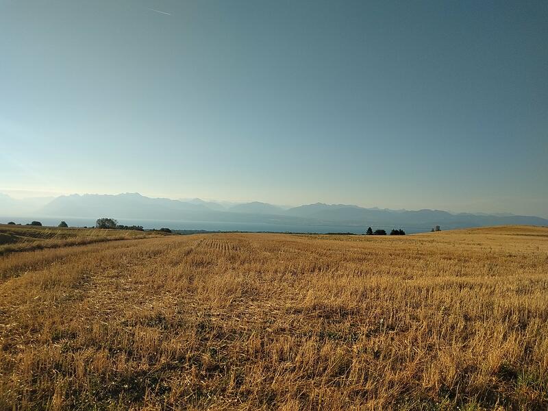 Massif du Chablais depuis les collines Vaudoises