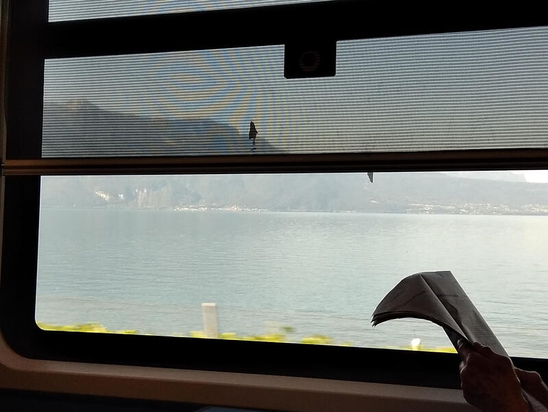 Shore of the lake Geneva