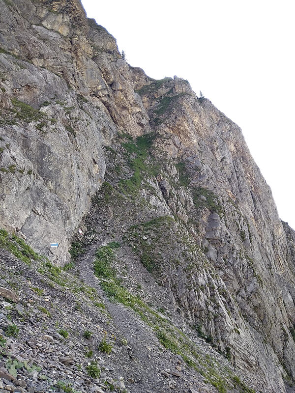 The trail starts getting narrower, and this is only the beginning